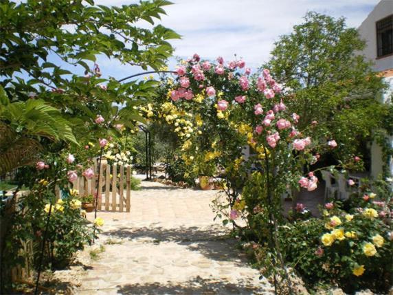 Casas Rurales Cazorla-Alcon Pozo Alcón Cameră foto