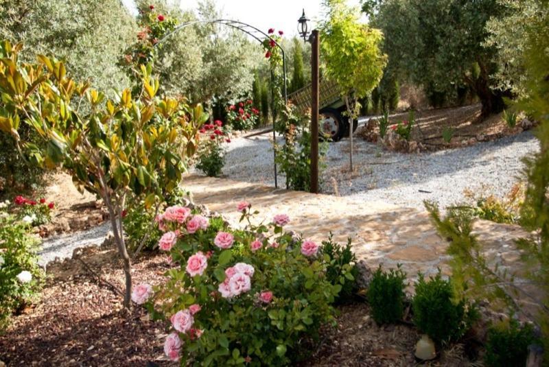 Casas Rurales Cazorla-Alcon Pozo Alcón Cameră foto
